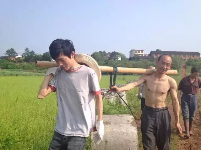 青春是用來奮斗的，除甲醛的青春最美麗！