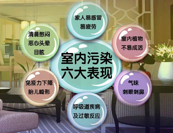 去甲醛加盟怎么樣？三點選址技巧讓您生意火爆