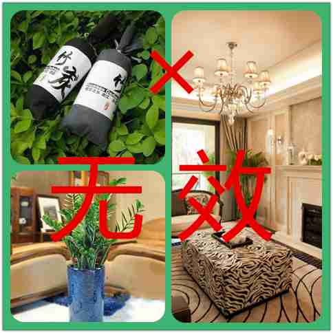 常見(jiàn)的溫州除甲醛方法哪個(gè)才是有效的