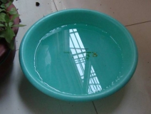 裝修完僅靠?jī)膳枥渌湍艹兹?？這個(gè)說法連網(wǎng)友都出來辟謠！大家別再相信了！