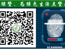 萬萬沒想到！床品上也會有甲醛污染