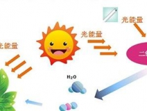甲醛治理用什么辦法最正確？這三點(diǎn)常見的除甲醛辦法其實(shí)是誤區(qū)