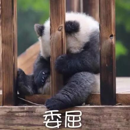 別大意！七大除甲醛“誤區”，信了你反而會生??！通風、綠植、活性炭、熏蒸……你中招了嗎？